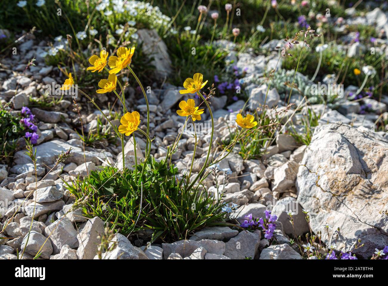 Majella geopark hi-res stock photography and images - Alamy