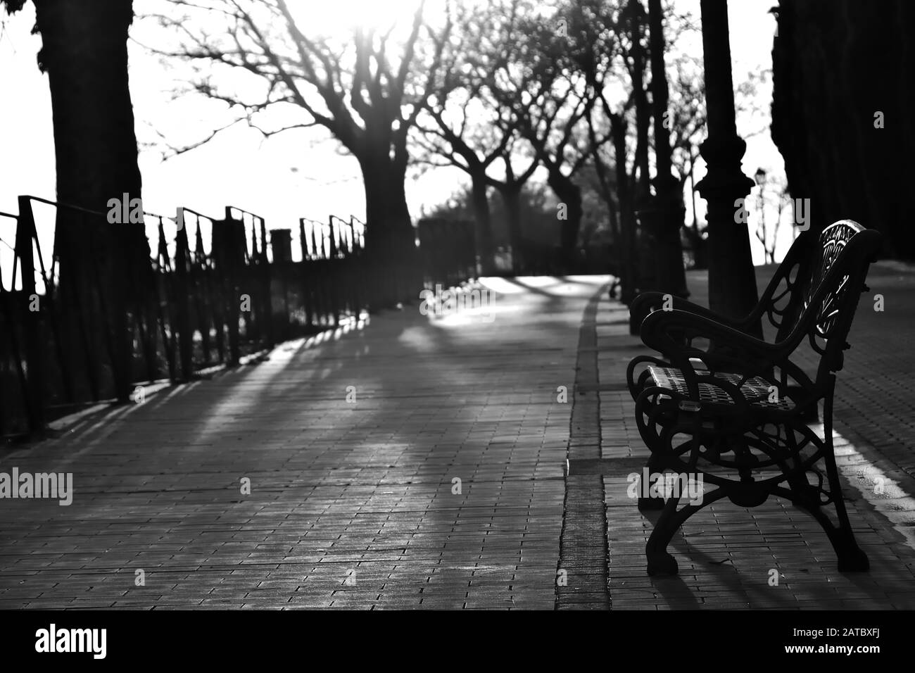 Park path in black and white with special sunset light Stock Photo