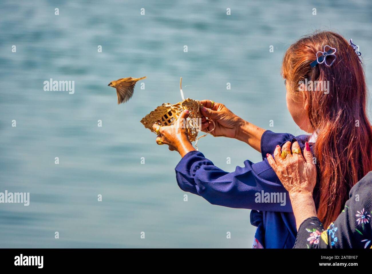 Woman releasing bird hires stock photography and images Alamy