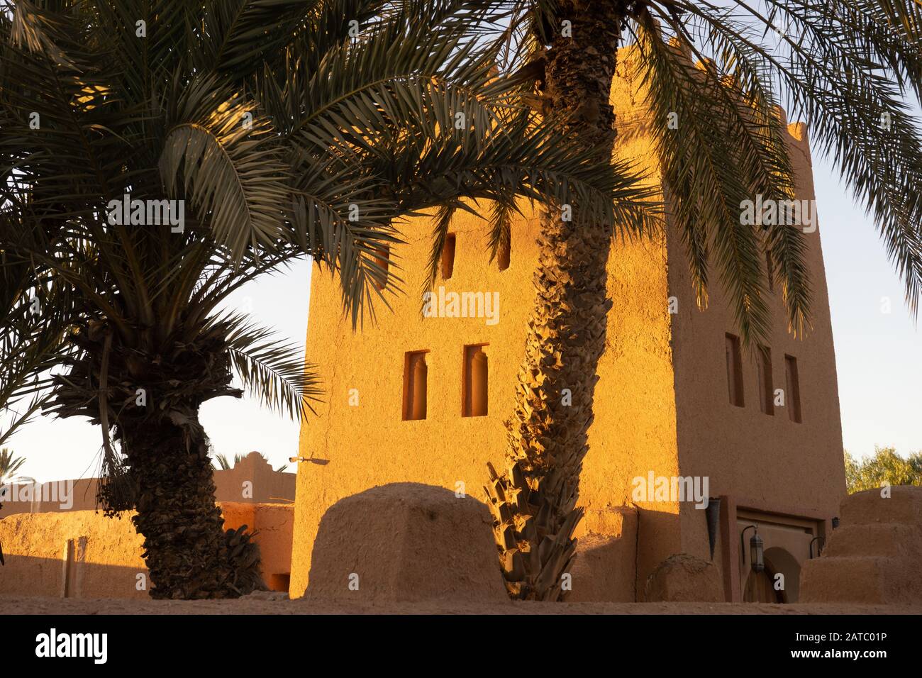 la maison de l´homme bleu, an ancient fortress in the oasis of tinghmert, morocco Stock Photo