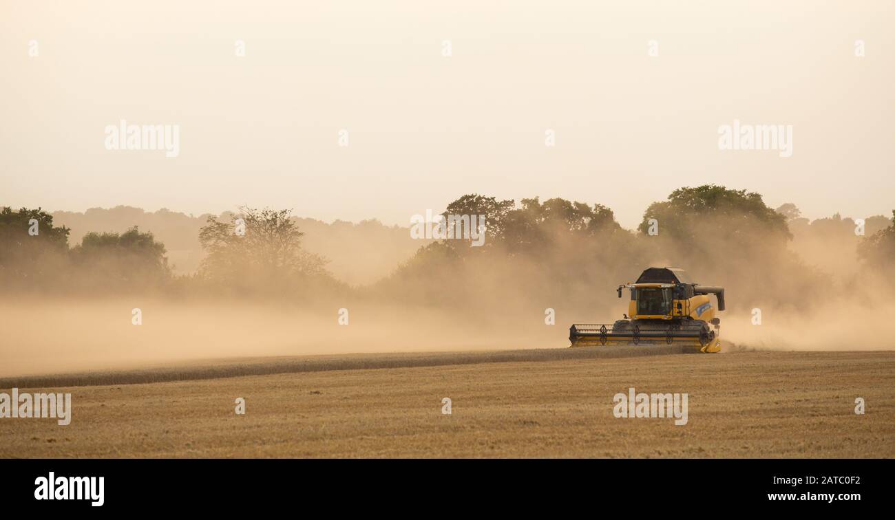 Combine Harvester harvesting on a summers day.  Much Hadham, Hertfordshire. UK Stock Photo