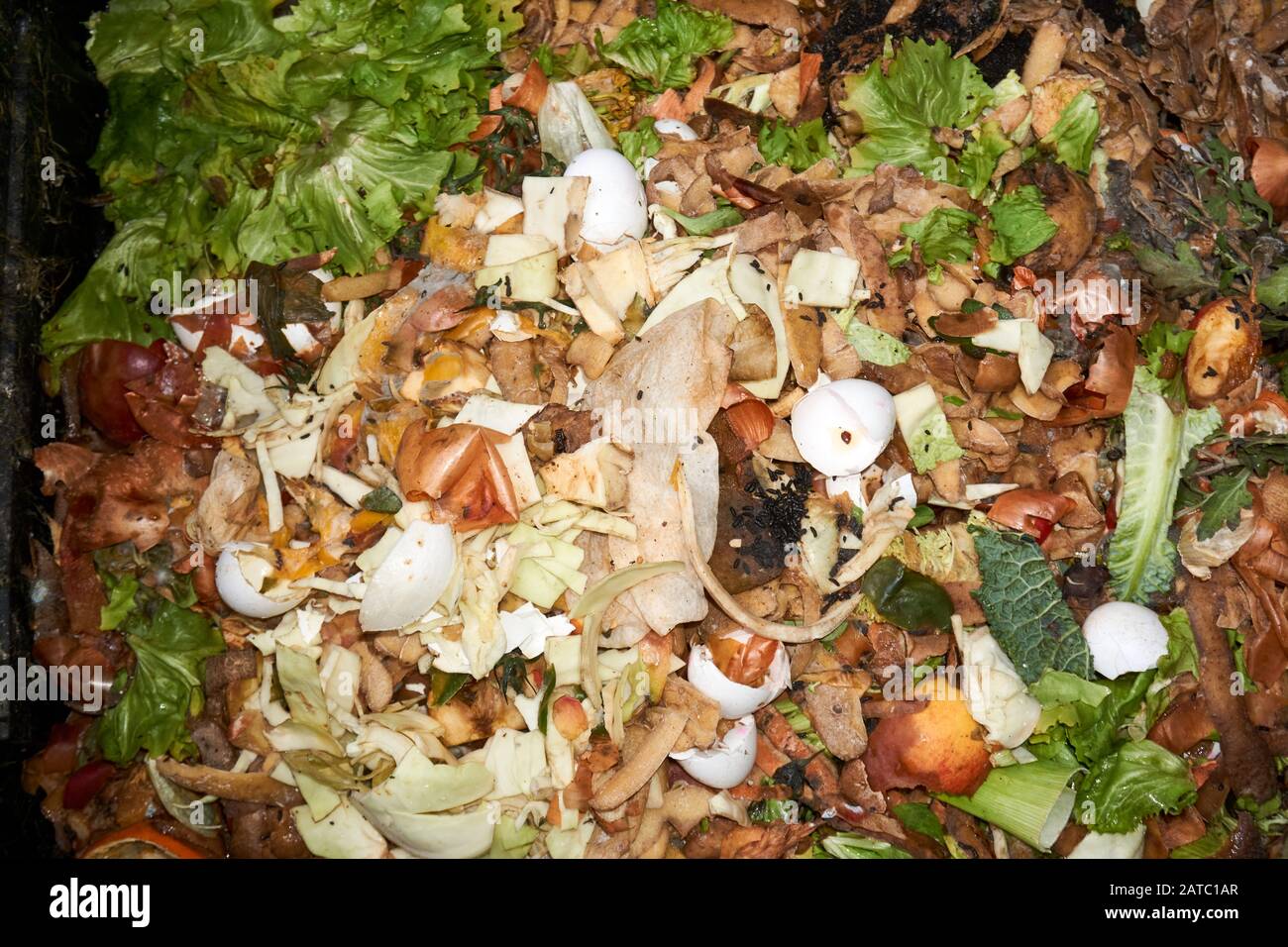 fresh, organic, kitchen waste, household scrap in the compost bin Stock Photo