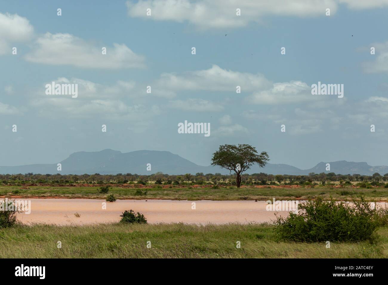 A watering hole with a lonely tree and a mountain hiding in mist (Kenya, Tsavo East National Park) Stock Photo