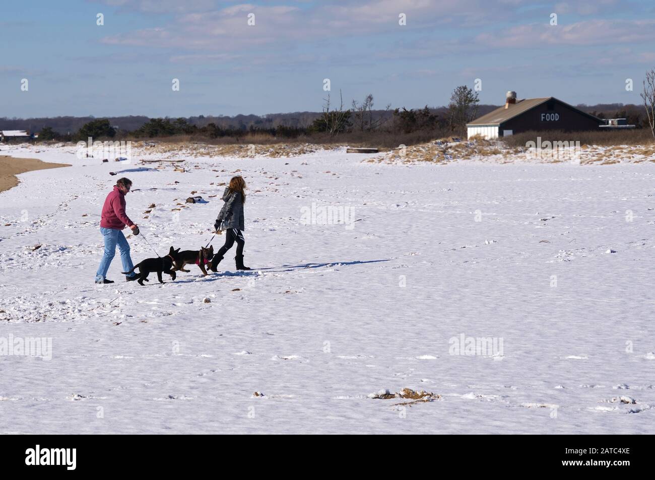 Madison, CT USA. Mar 2019. A couple in warm clothing walking their dogs on a snow covered New England beach. Stock Photo