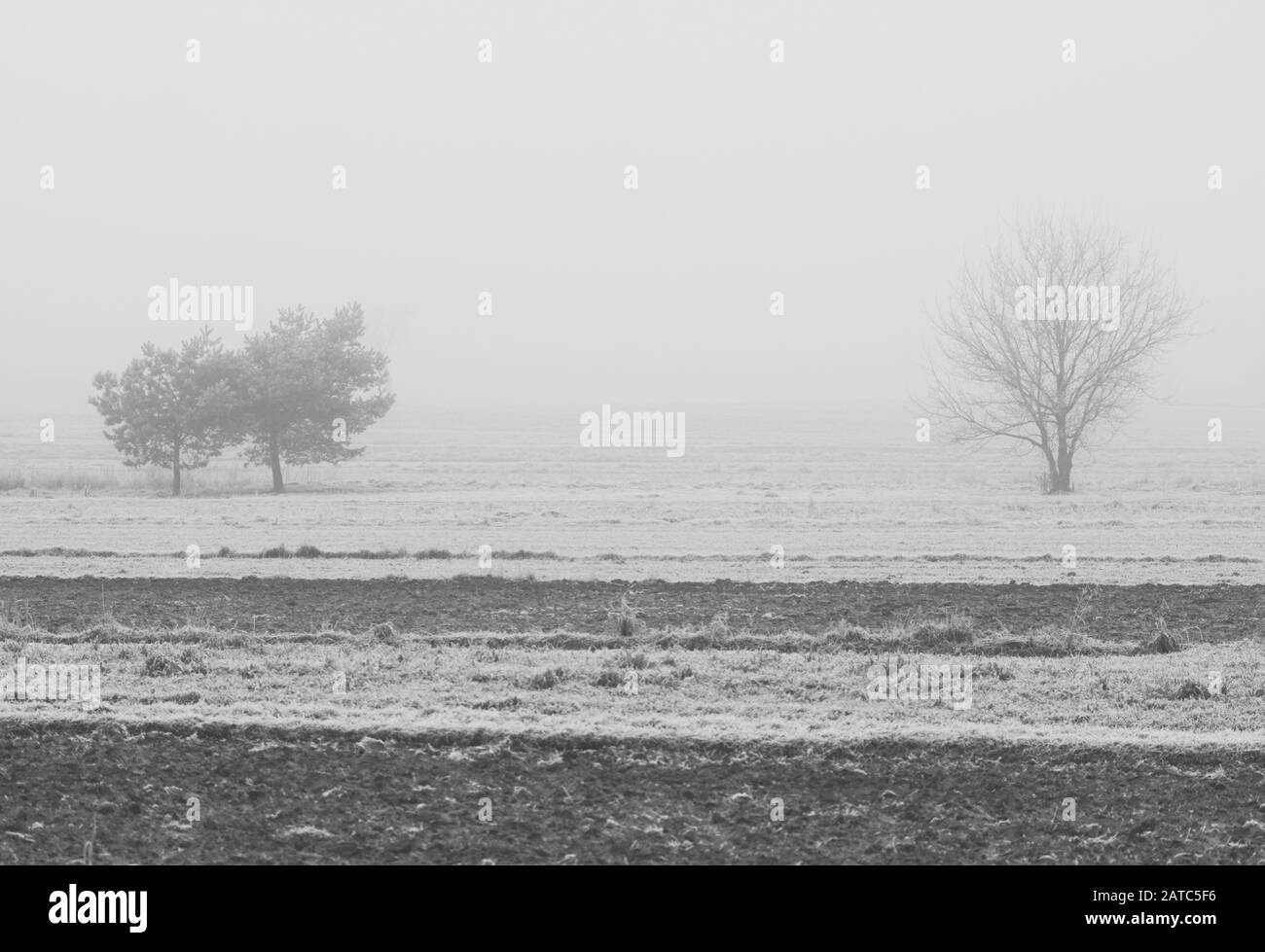 Foggy day lake in Black and White Stock Photos & Images - Alamy