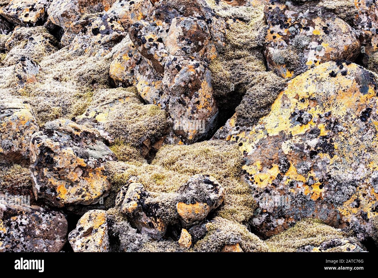 Colorful and abstract lichen and moss formation on rocks Stock Photo