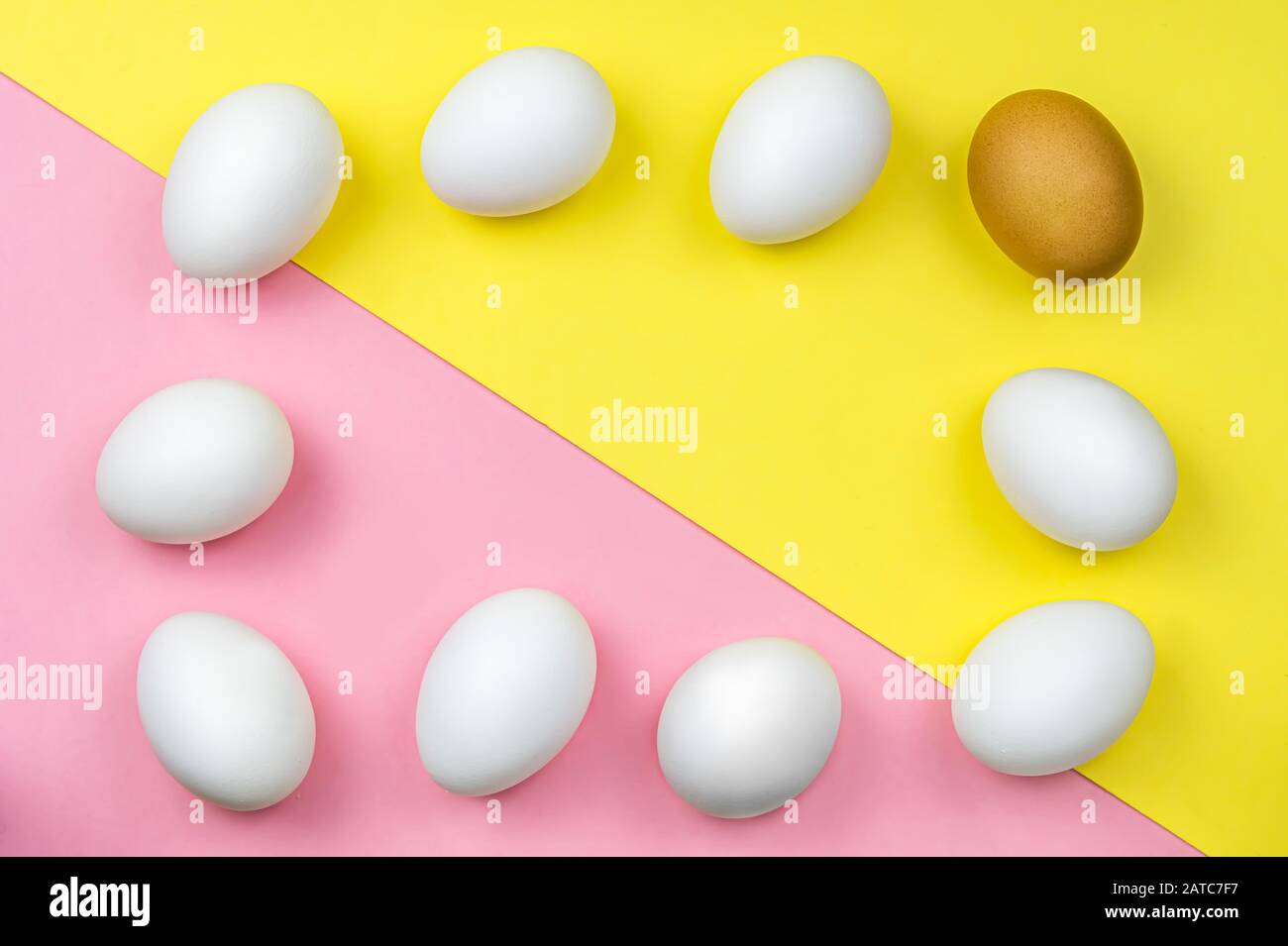 white chicken eggs and one brown egg on a colored background, pink and yellow. egg frame. Background. Natural, raw food. Easter Stock Photo