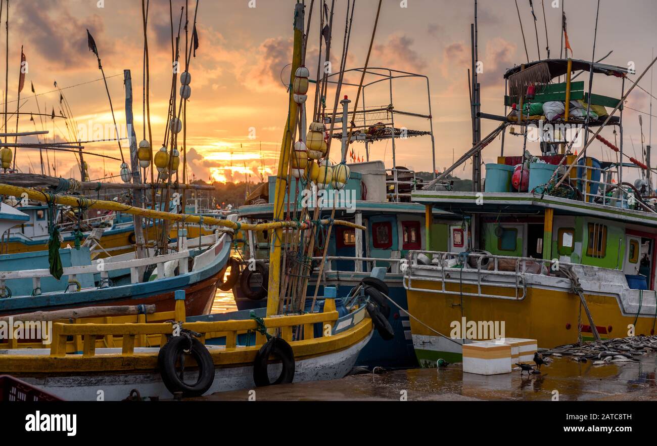 Fishing boats are docked at sunset, Sri Lanka. Scenic view of old wooden ships in evening. Ethnic traditional boats moored in a fishing port. Vintage Stock Photo