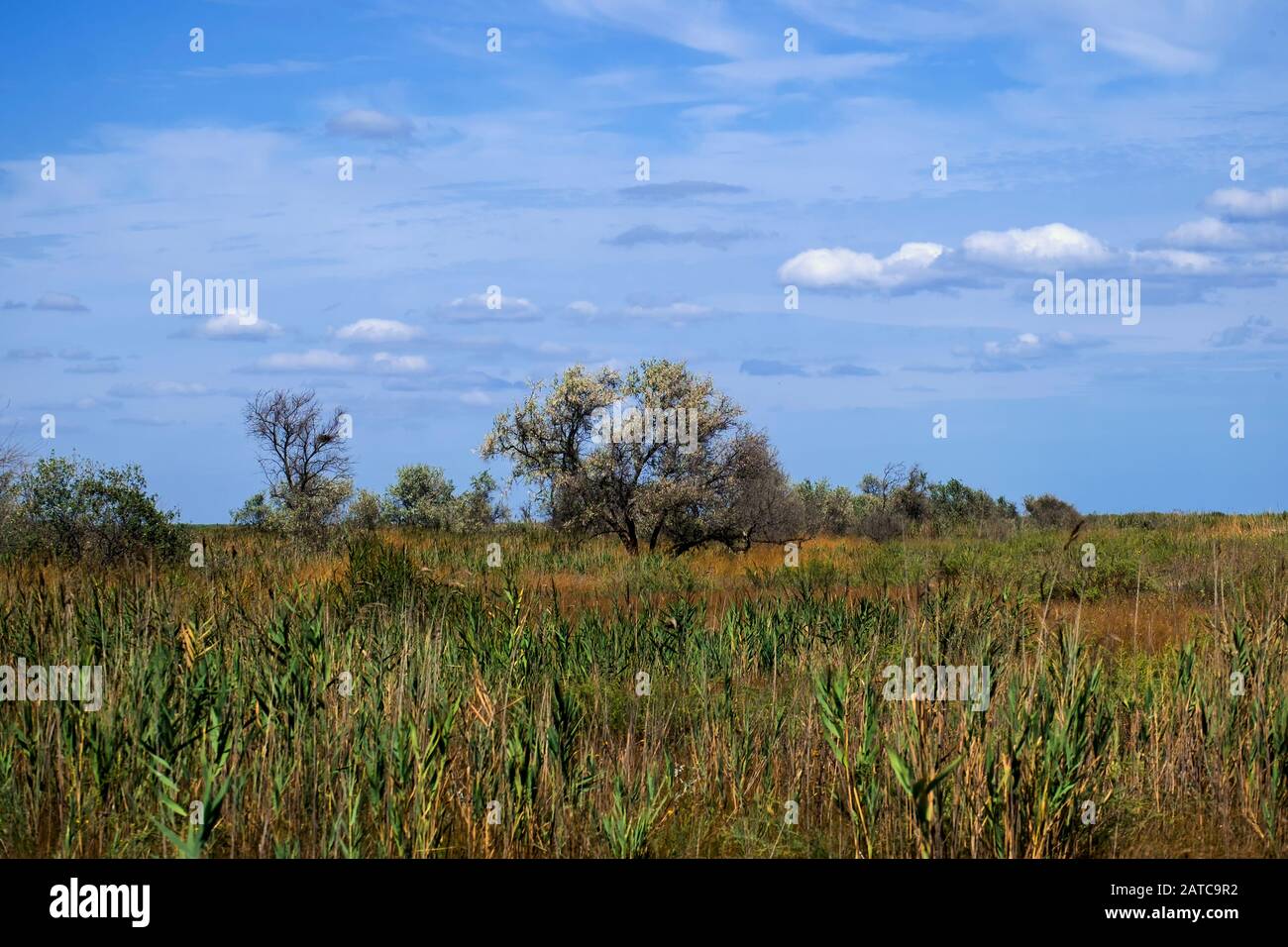 Wetlands in the area Maliy Sasik Lake Stock Photo