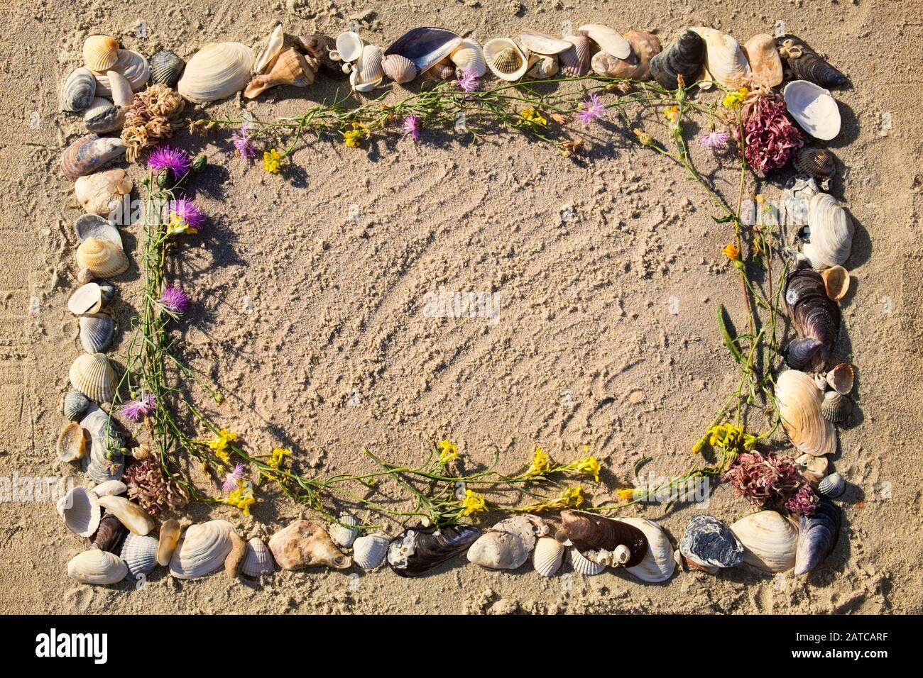 Steppe Flowers High Resolution Stock Photography And Images Alamy Steppe Flowers High Resolution Stock Photography And Images Alamy