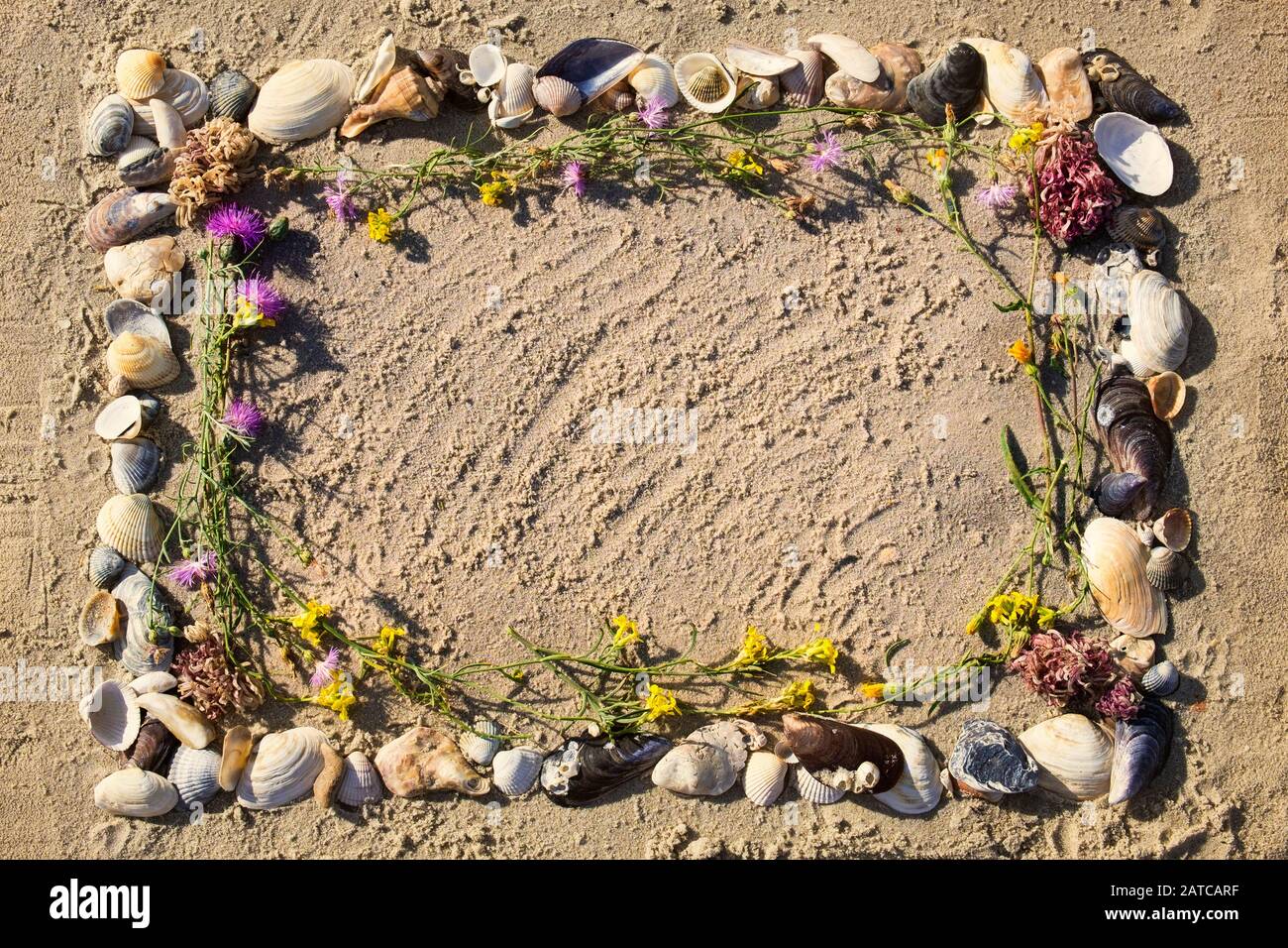 Steppe Flowers High Resolution Stock Photography And Images Alamy