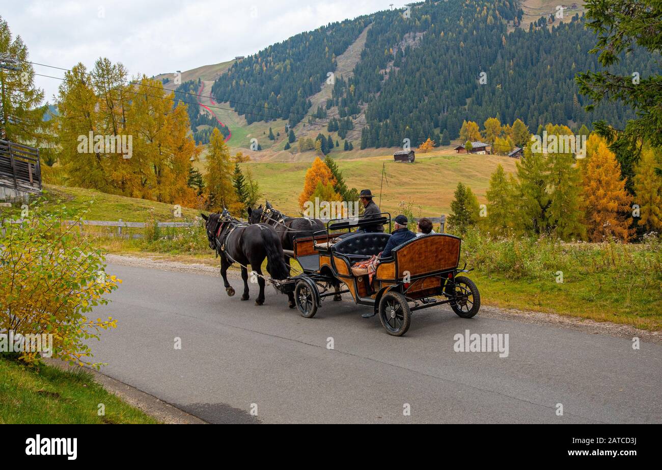 Group of people traveling with a horse-drawn carriage  at the beautiful countryside of Alpe Di Siusi  valley  Italy Stock Photo