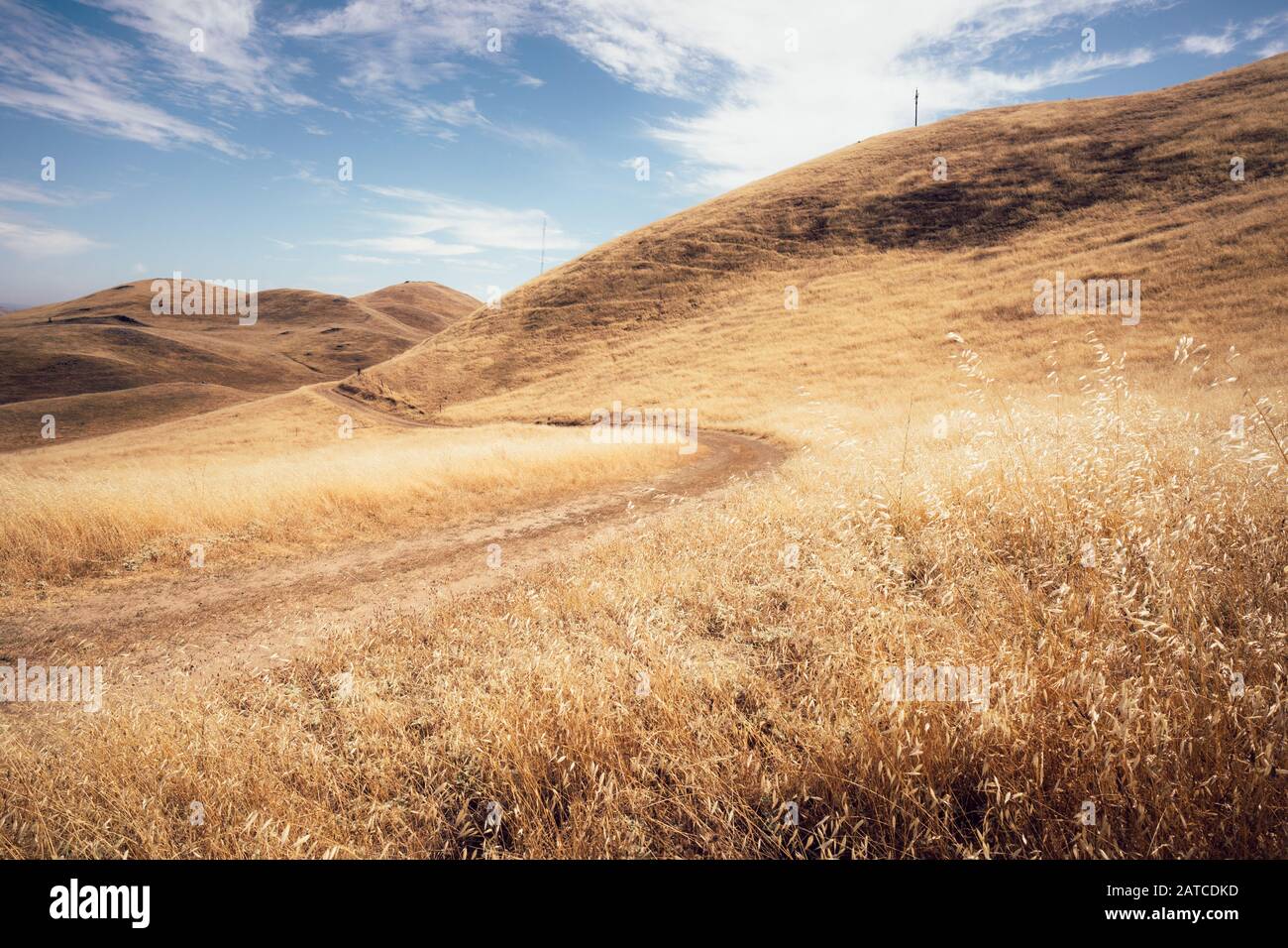 Dirt road Through grass covered hills, Mission Peak Regional Preserve, Fremont, California, USA Stock Photo