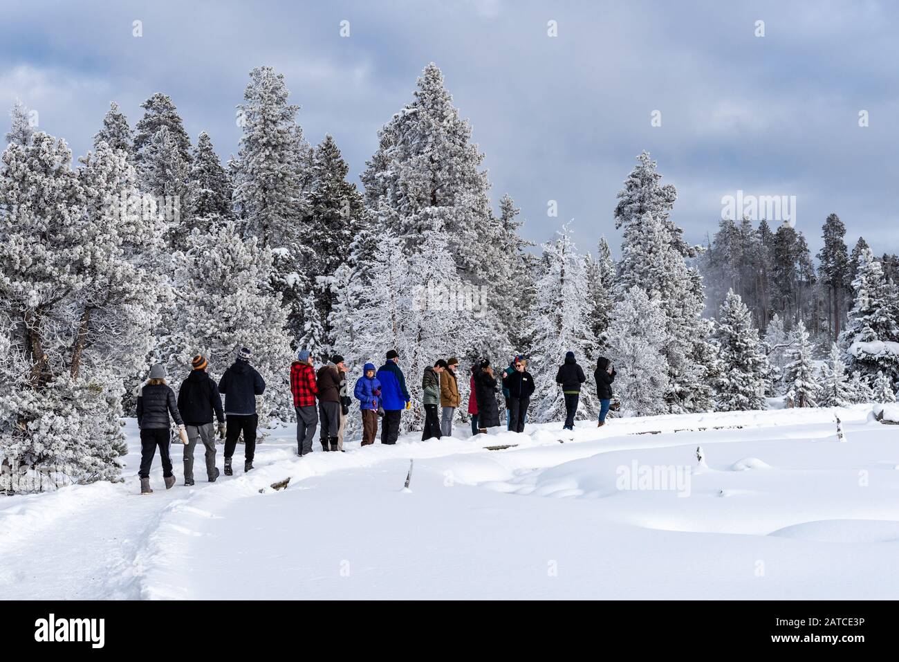 Winter tourism becomes a major attraction in the Yellowstone National Park, Wyoming, USA Stock Photo