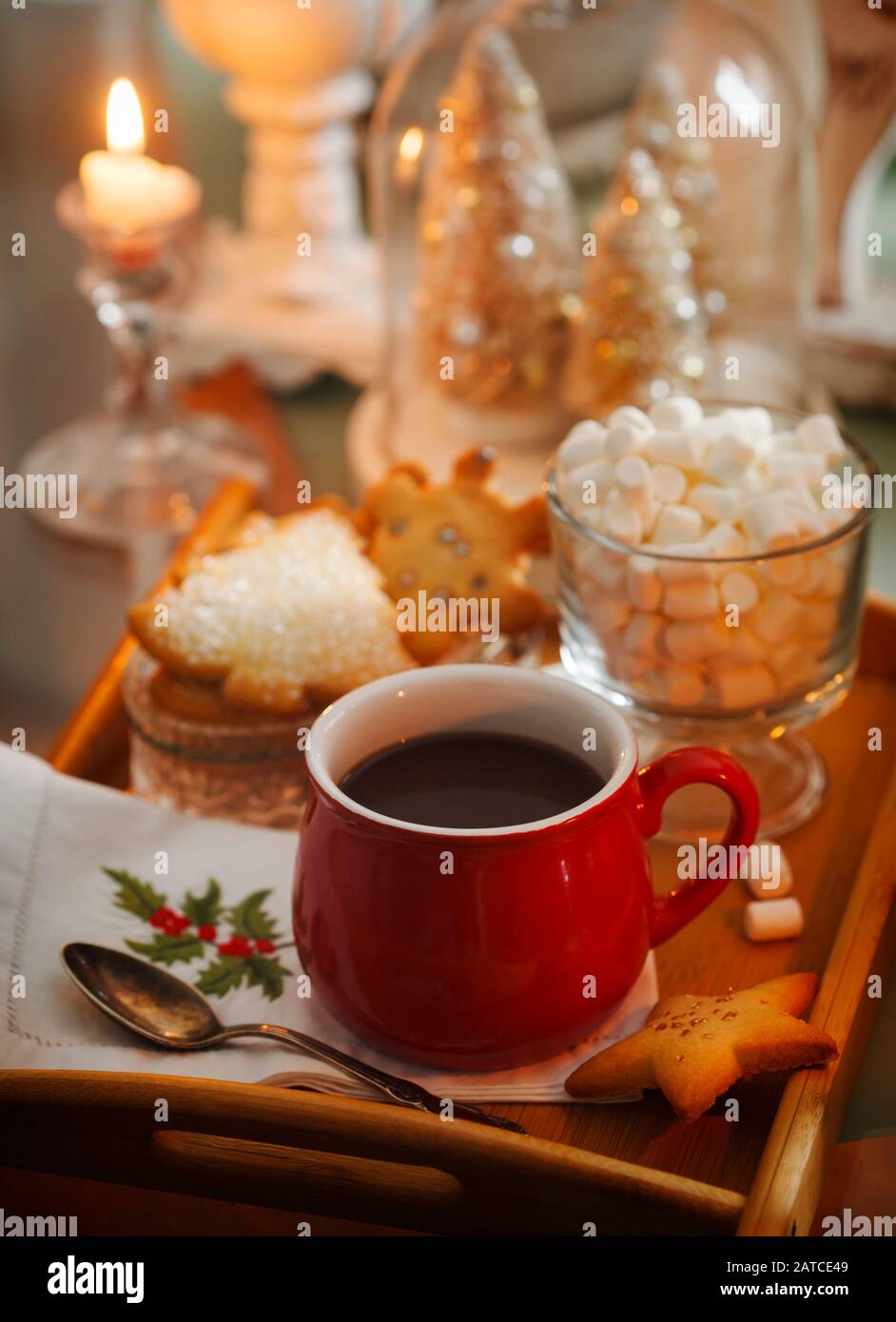 Hot chocolate with marshmallow and cookies at Christmas Stock Photo