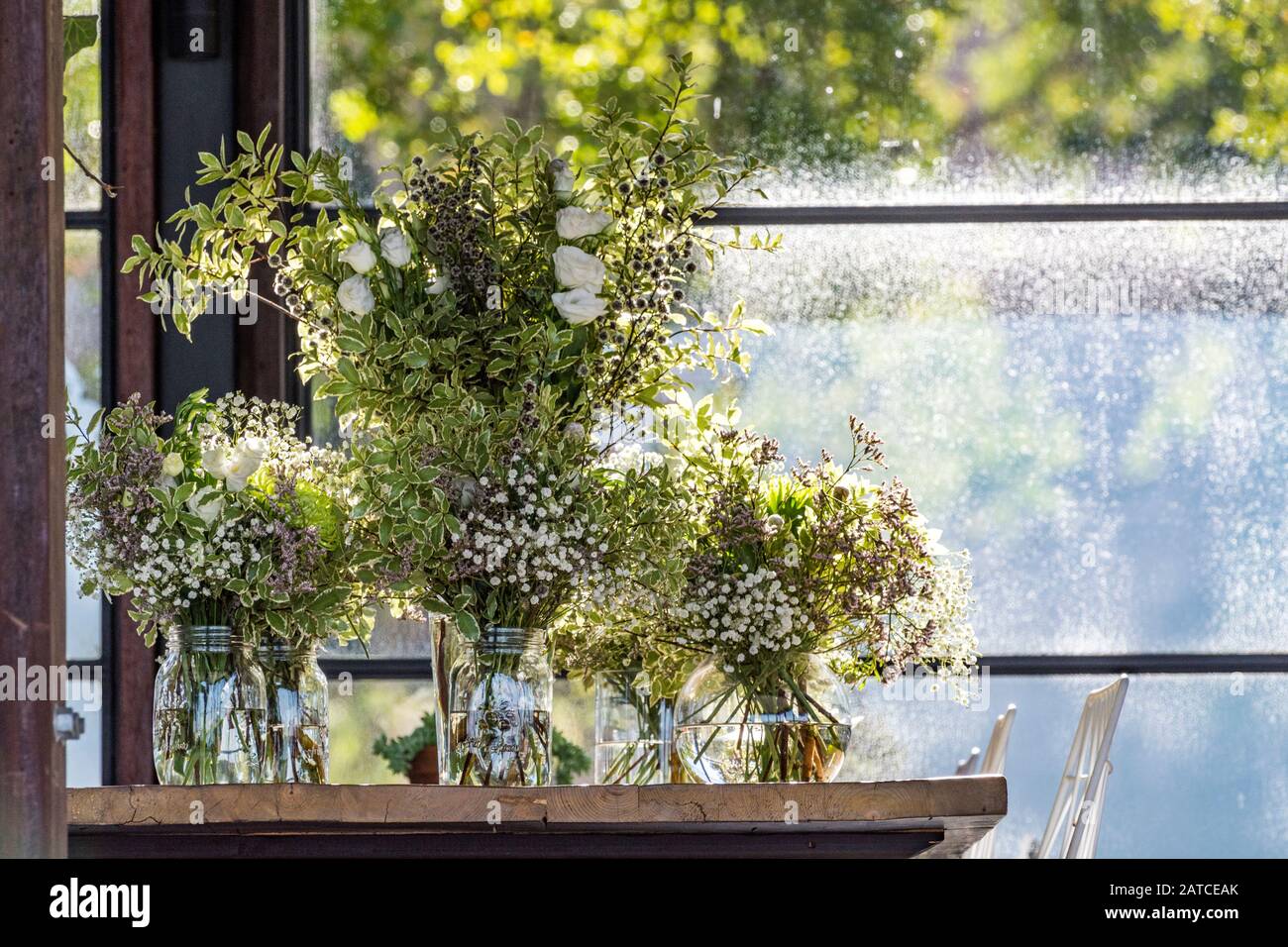 Vases filled with native Australian flowers Stock Photo
