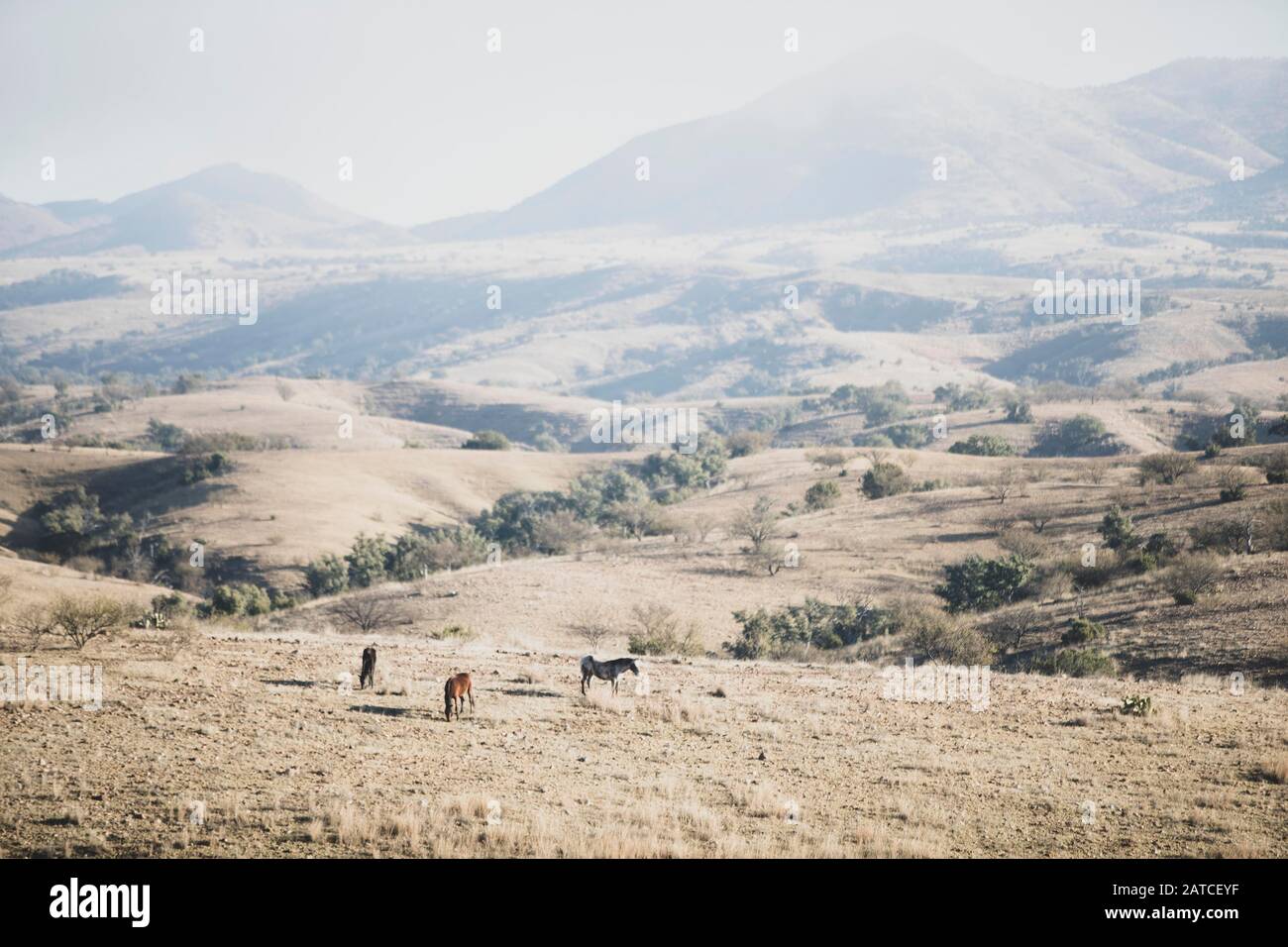 Un paisaje de invierno hi-res stock photography and images - Alamy