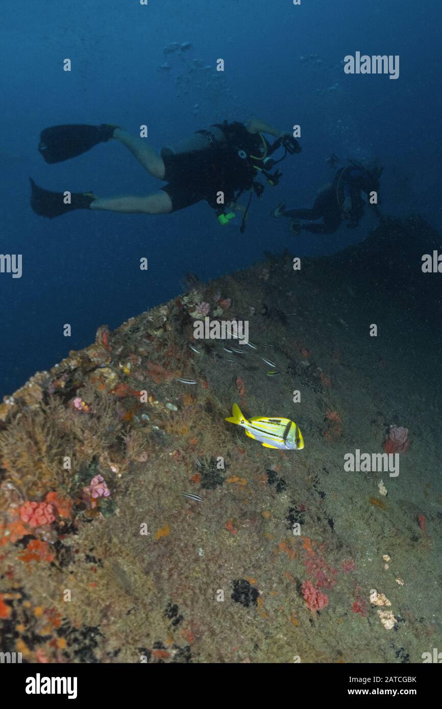 Underwater Wreck Stock Photo