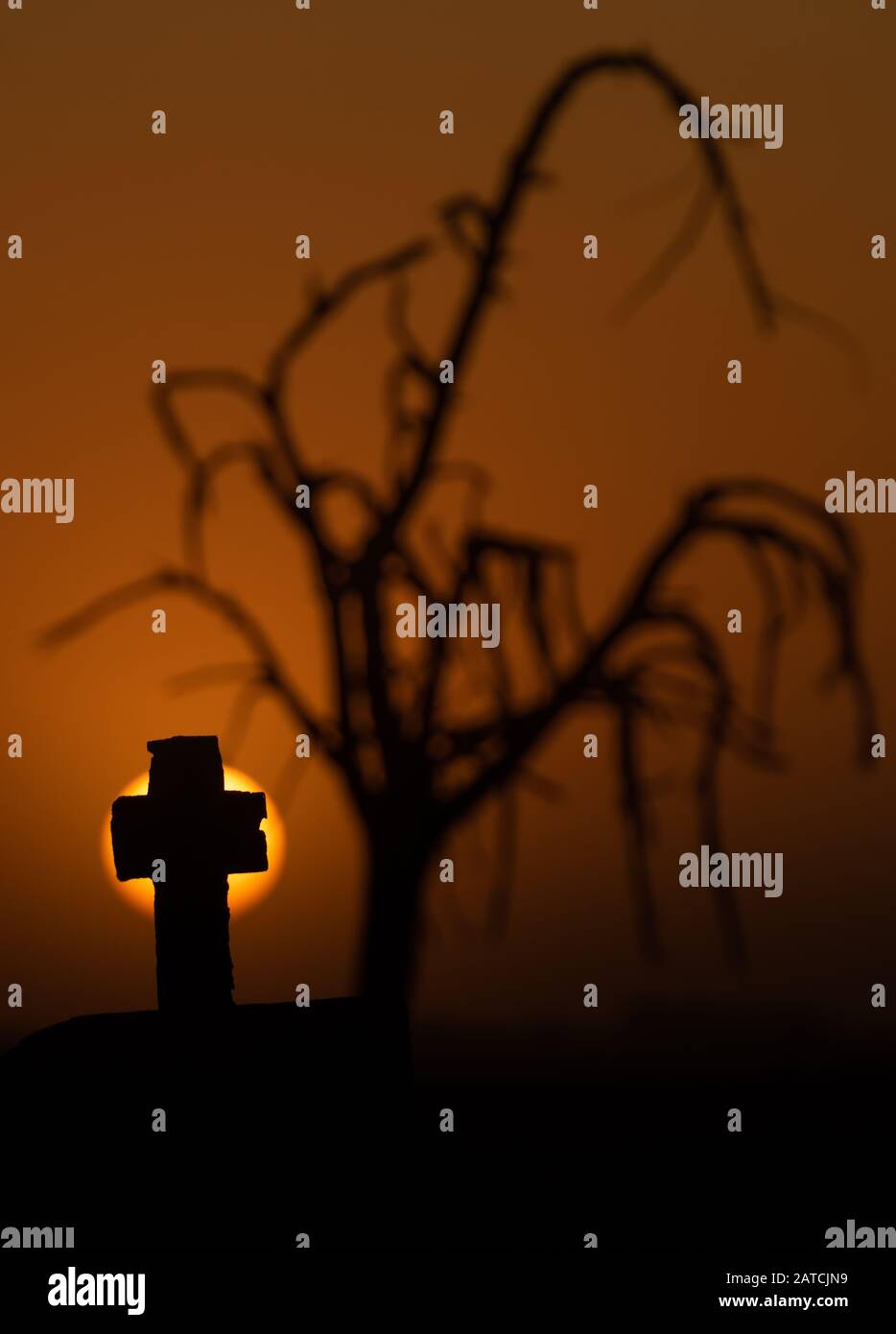 A spooky silhouette of cross and tree in a cemetery Stock Photo