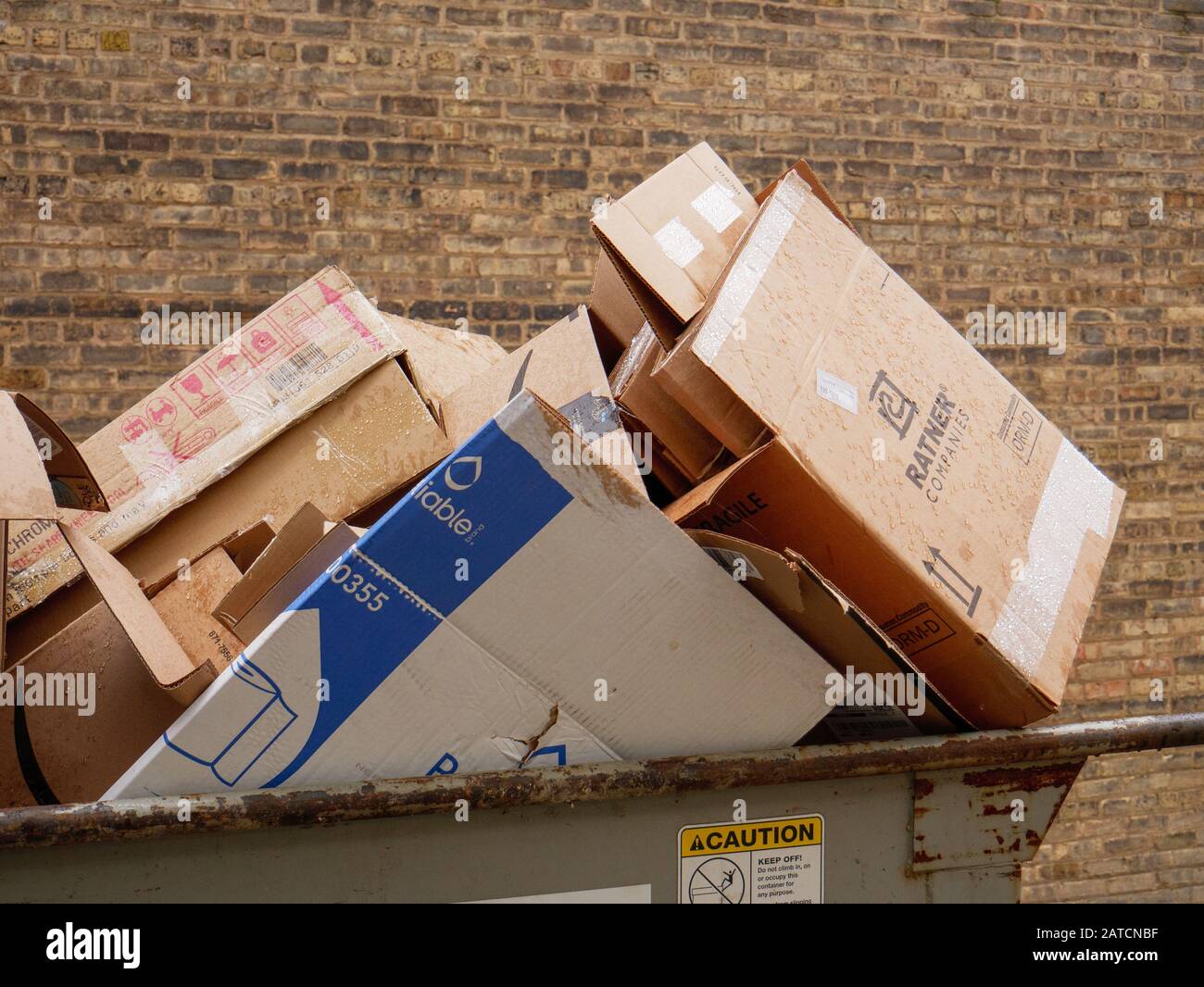 Used cardboard boxes in recycling dumpster. Stock Photo