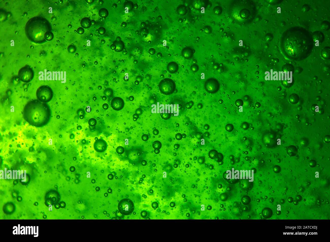 A Background Of A Lot Of Air Bubbles In A Green Liquid Great For Images, Photos, Reviews
