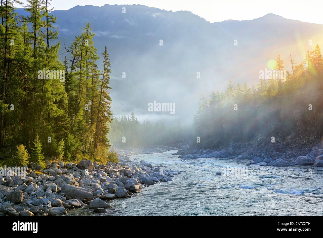 Sunny morning in Siberian dark coniferous taiga. Sunlight beautifully illuminates the needles of trees by a swift mountain river. Eastern Sayan. Burya Stock Photo