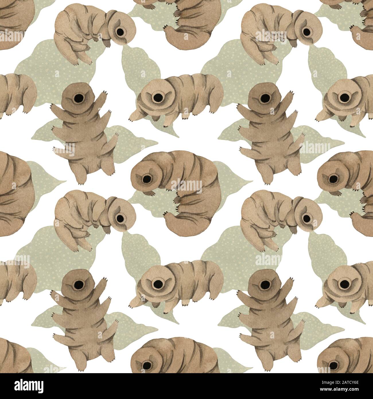 Seamless watercolor pattern tardigrades, cute water bear Stock Photo