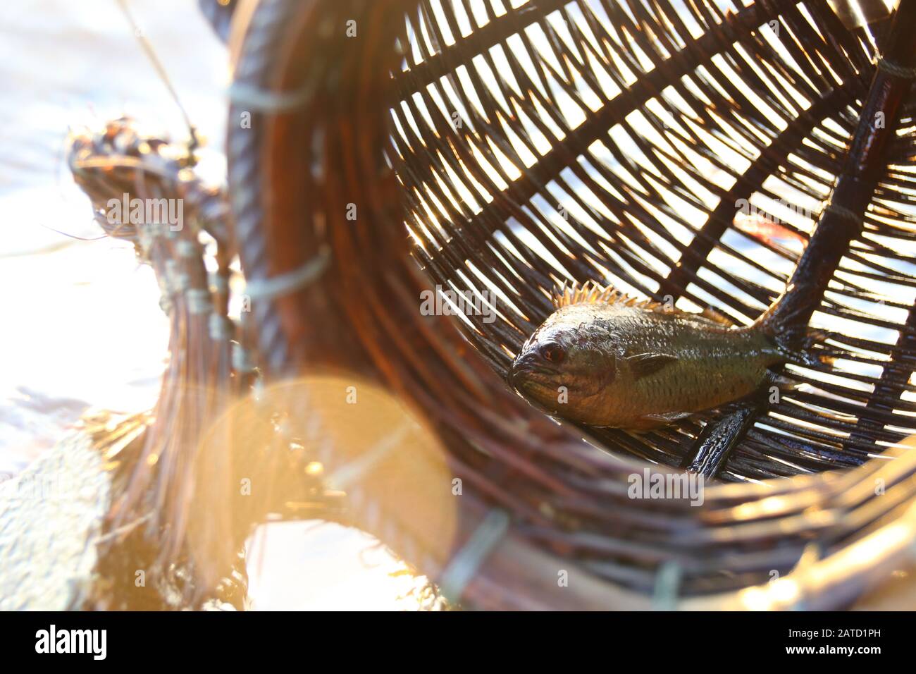 Woven rattan creel or fishing basket that is a traditional fish container  in rural fishing village in Cambodia that shows authentic life and culture  Stock Photo - Alamy