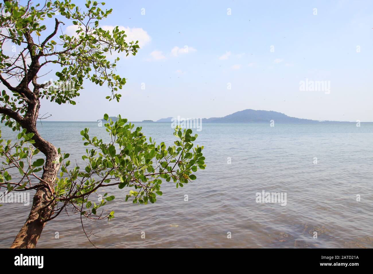 Scenic view of Koh Tonsay or Rabbit Island framed by trees as seen from the boulevard of Kep in Cambodia Stock Photo