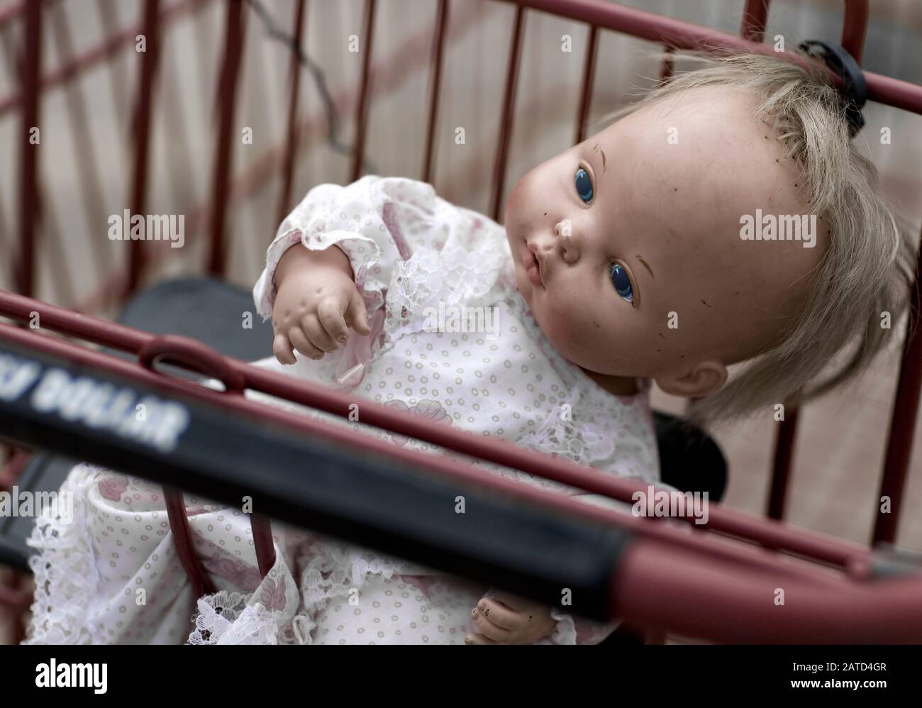 An , in a shopping cart, Mobile, Alabama Stock Photo Alamy