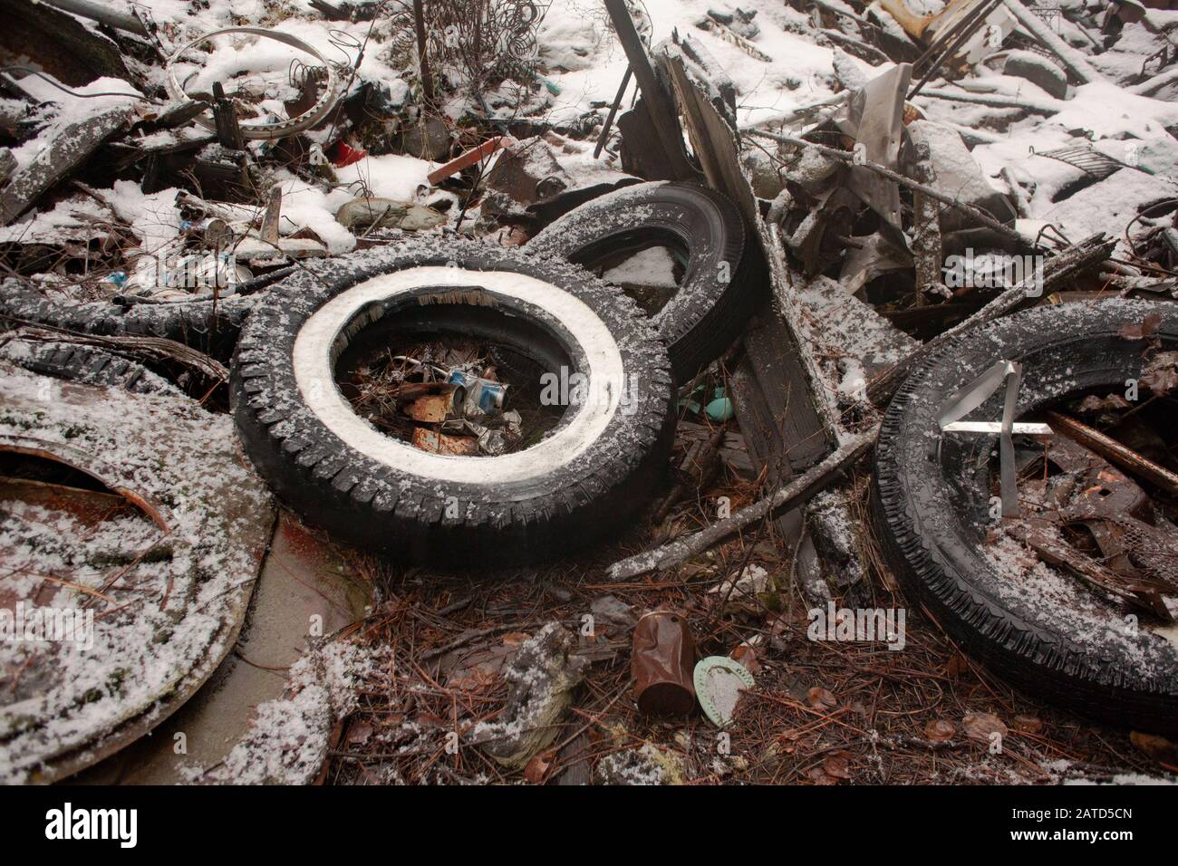 Tires and other trash at an old illegal dump site from back in the