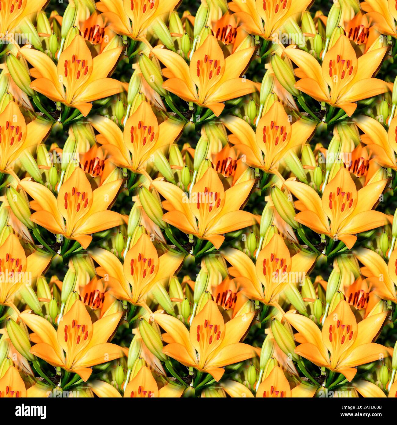 Seamless abstract springtime, summer natural background of blooming ...