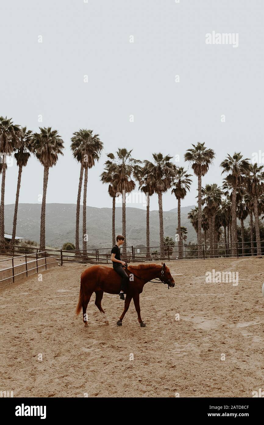 Boy riding a horse, California, USA Stock Photo