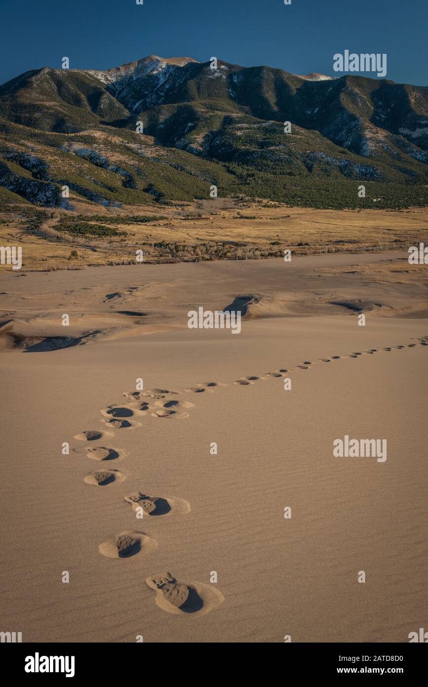 Footprints across the sound dunes in front of the Sangre De Cristo Mountains, Great Sand Dunes National Park, Colorado, USA Stock Photo
