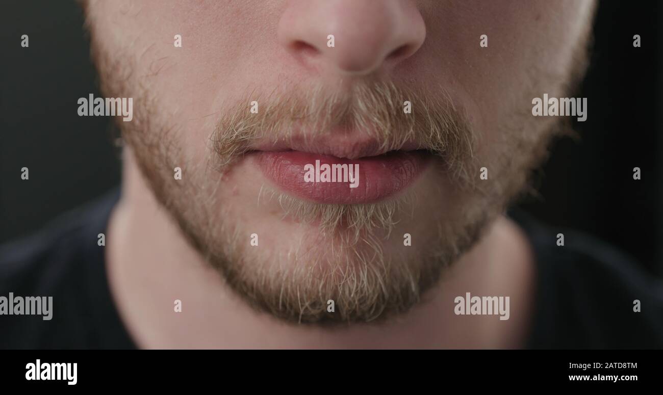 closeup shot of bearded man mouth, wide photo Stock Photo Alamy