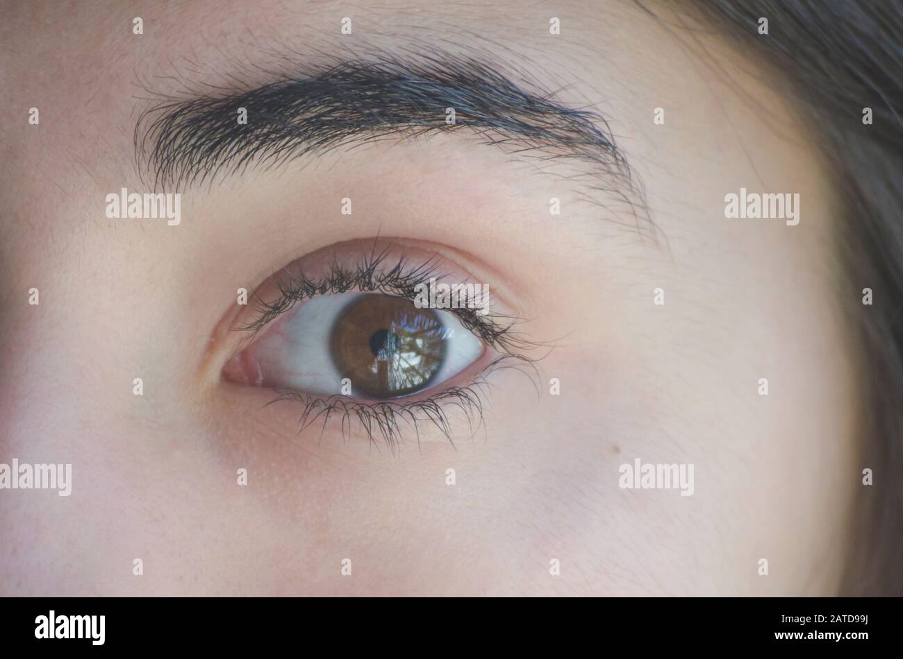 Close-up of a girl's brown eye Stock Photo