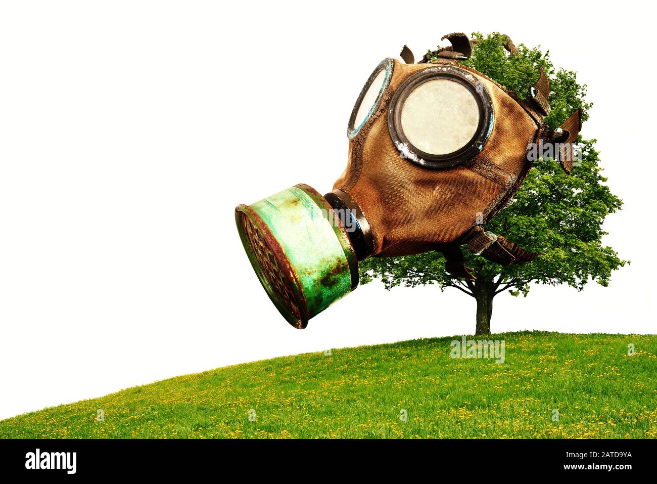 Tree with gas mask, global warming due to air pollution, isolated on white background Stock Photo