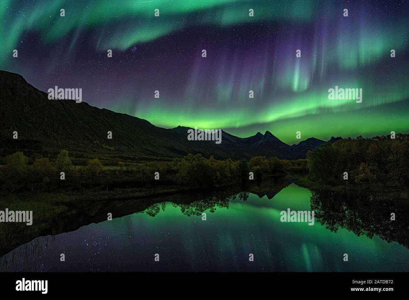 Northern lights over Forfjord, Lofoten, Nordland, Norway Stock Photo