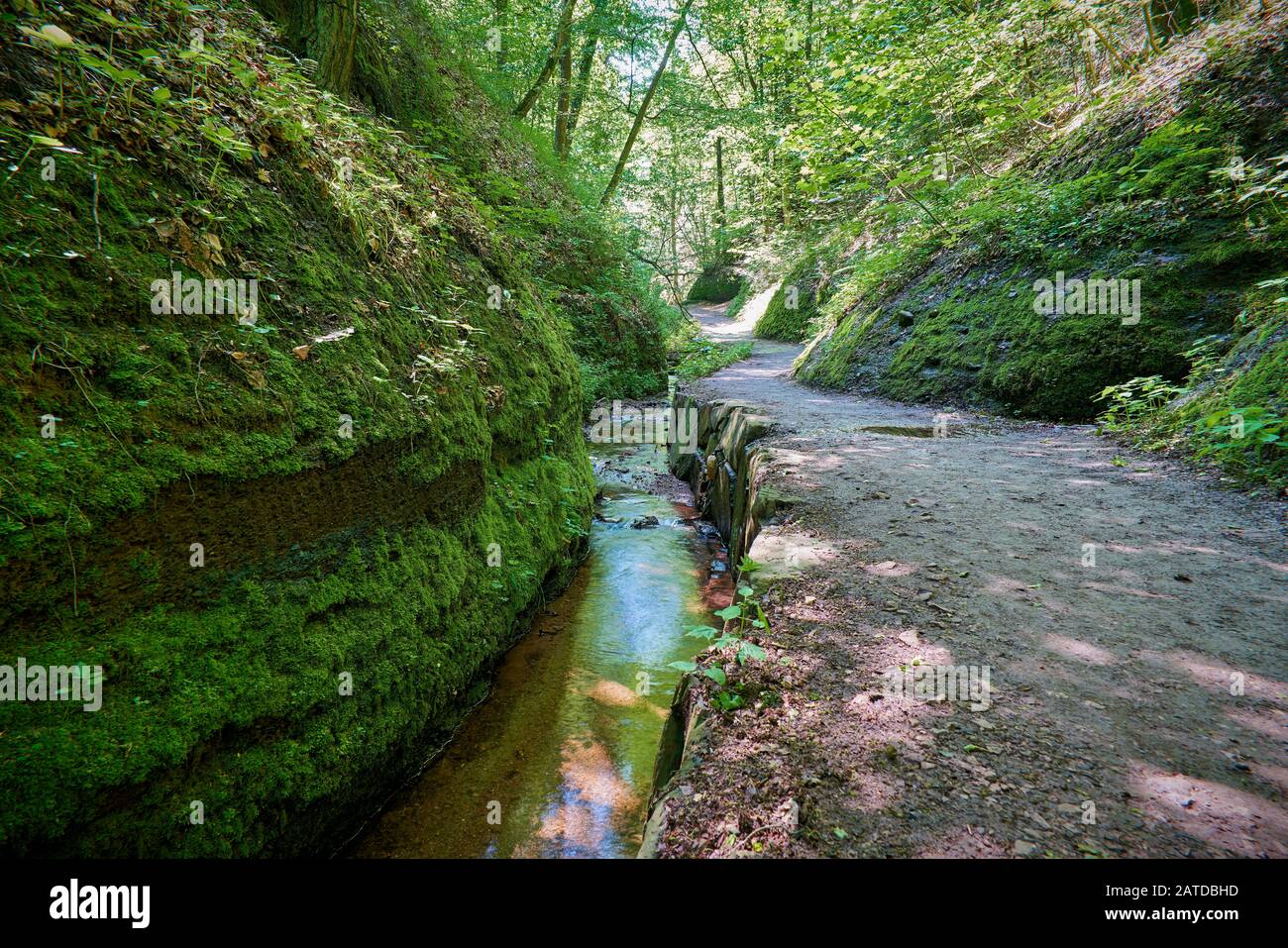 Hiking trail with a stream in the Dragon Gorge near Eisenach in Thuringia Stock Photo