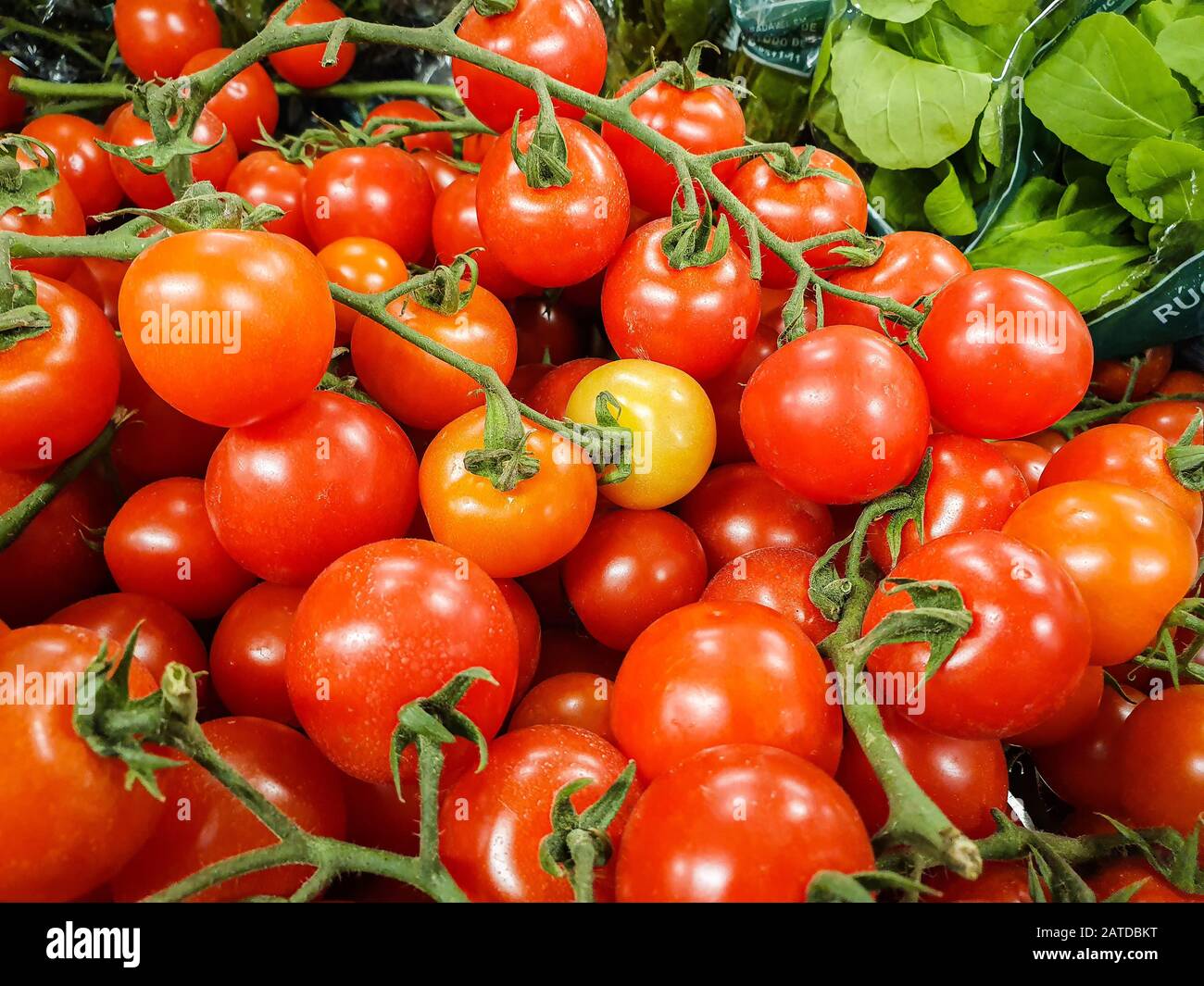 Close-up of tomatoes on the vine Stock Photo