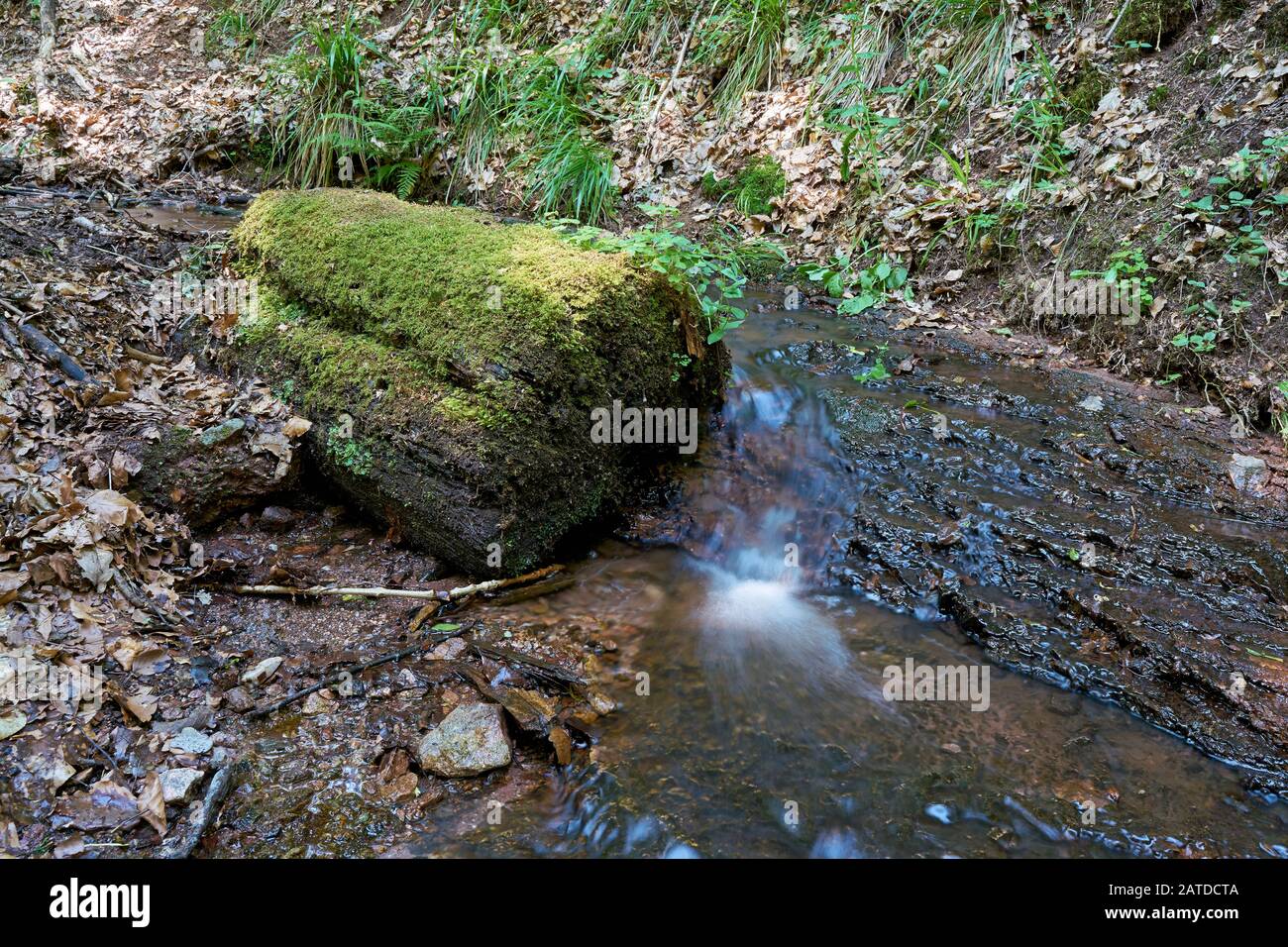 Spring water in the Landgrafenschlucht at the foot of the Wartburg Castle near Eisenach in Germany Stock Photo