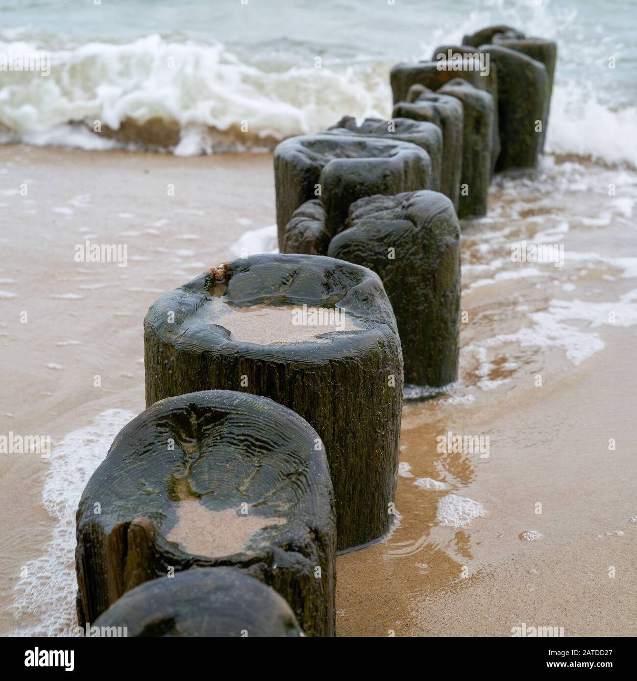 Breakwater on the beach of the Baltic Sea near Warnemünde in Germany Stock Photo
