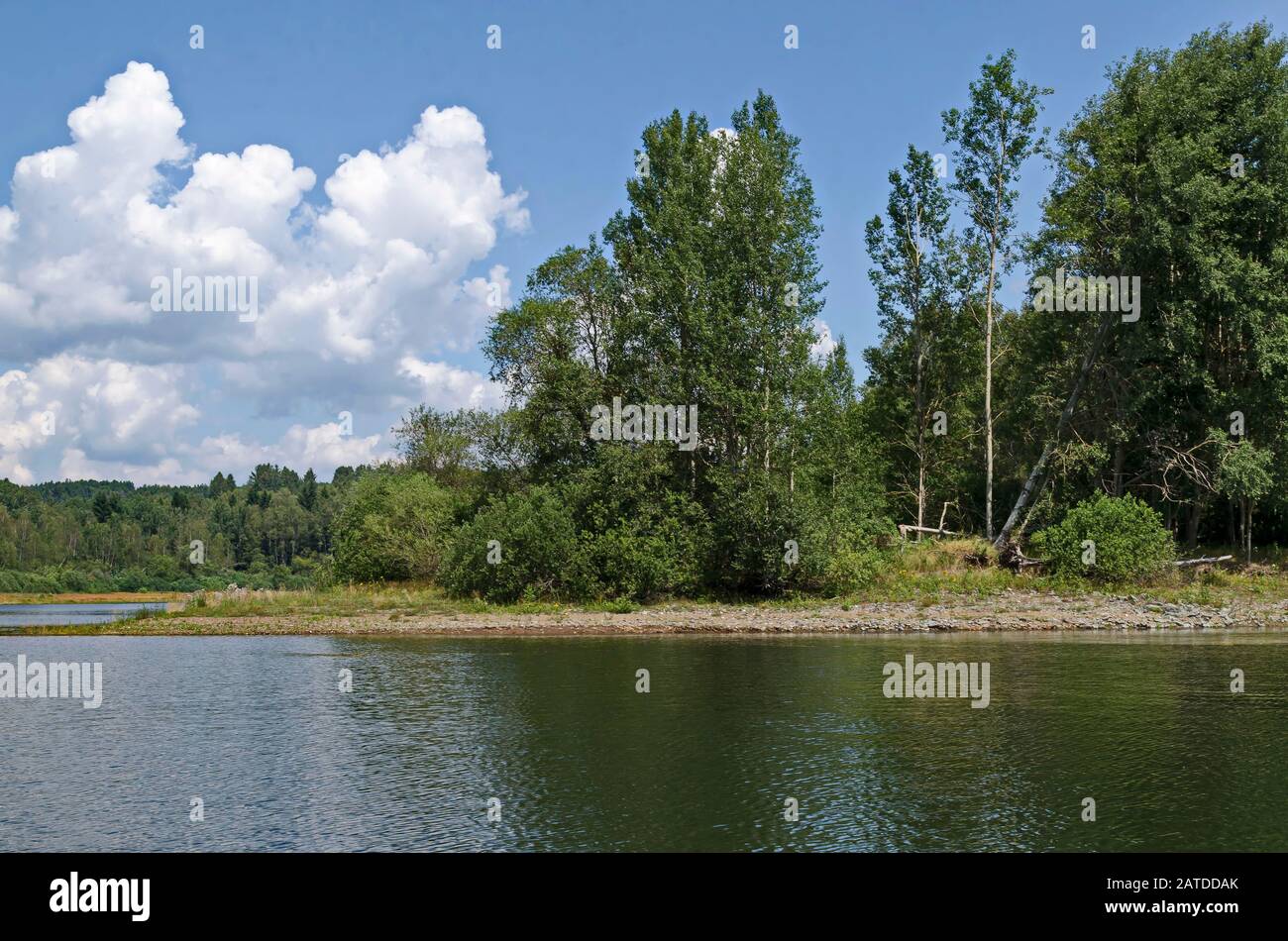 Beautiful fresh forest on the shore of artificial Vlasina mountain lake, South eastern Serbia, Europe Stock Photo