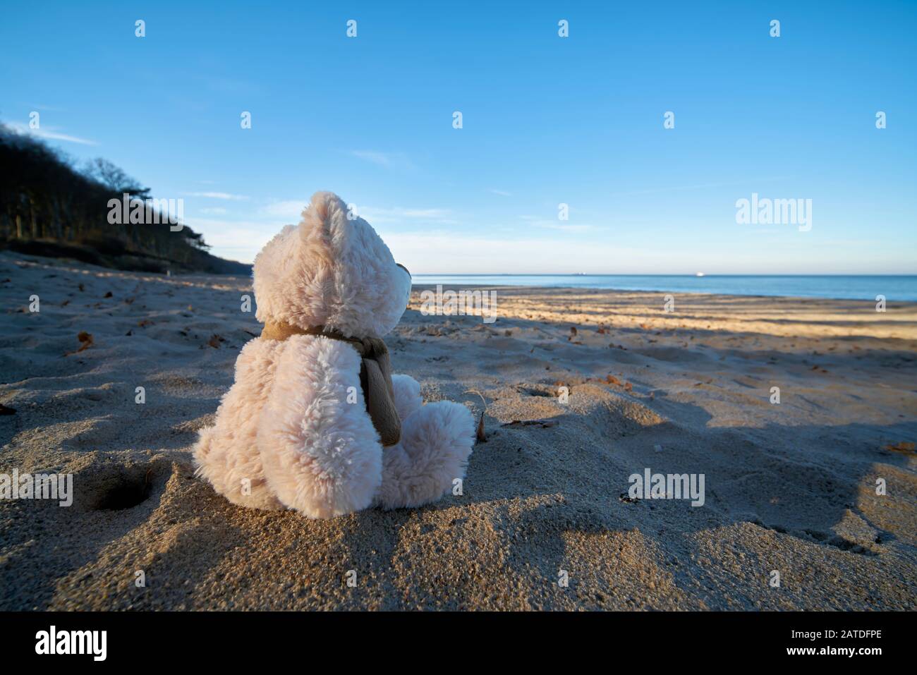 Sad teddy bear with wanderlust on the beach of the Baltic Sea near Warnemünde in Germany Stock Photo