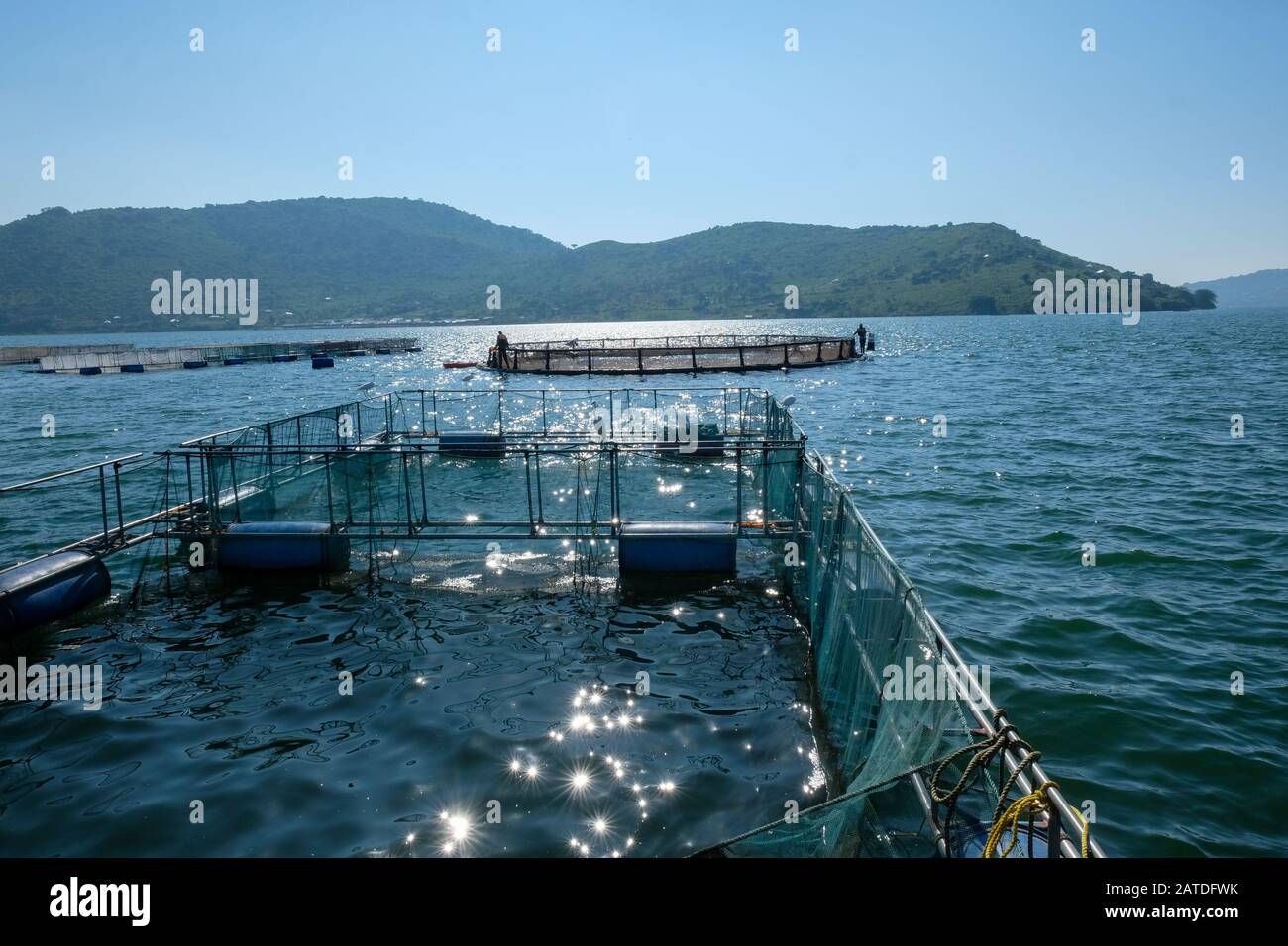 A fish cage on Lake Victoria used for fish farming by Victory Farms in Kenya Stock Photo