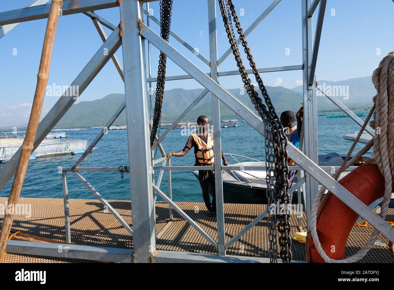 Employees of Victory Farms, Kenya's largest aquaculture firm, stand on a floating platform for fish farming on Lake Victoria Stock Photo