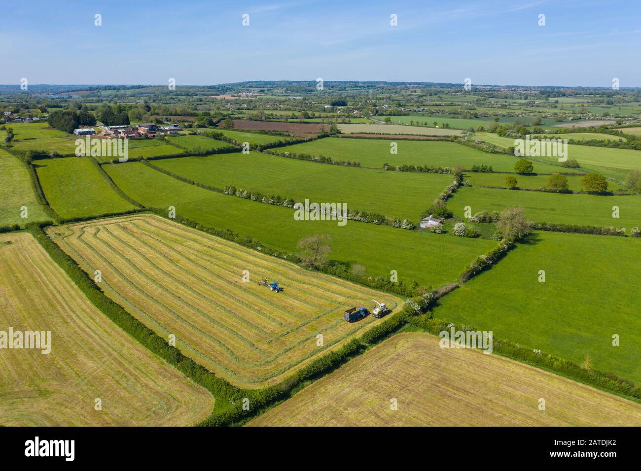 An aerial picture taken from a drone of farmers collecting grass for making silage in Wiltshire. Stock Photo
