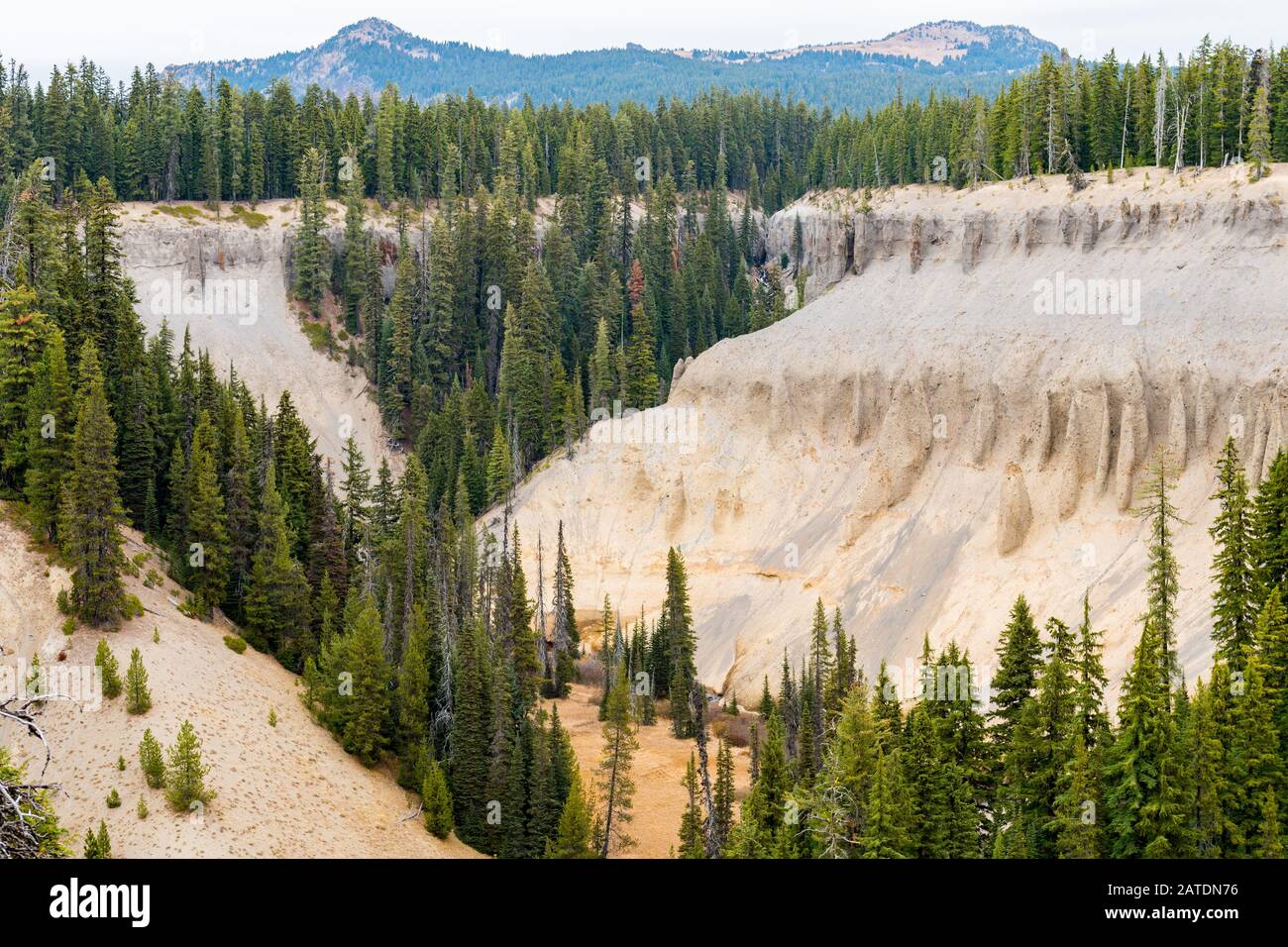 Canyon surrounded by a pine forest next to Annie Falls near Crater Lake Stock Photo Alamy