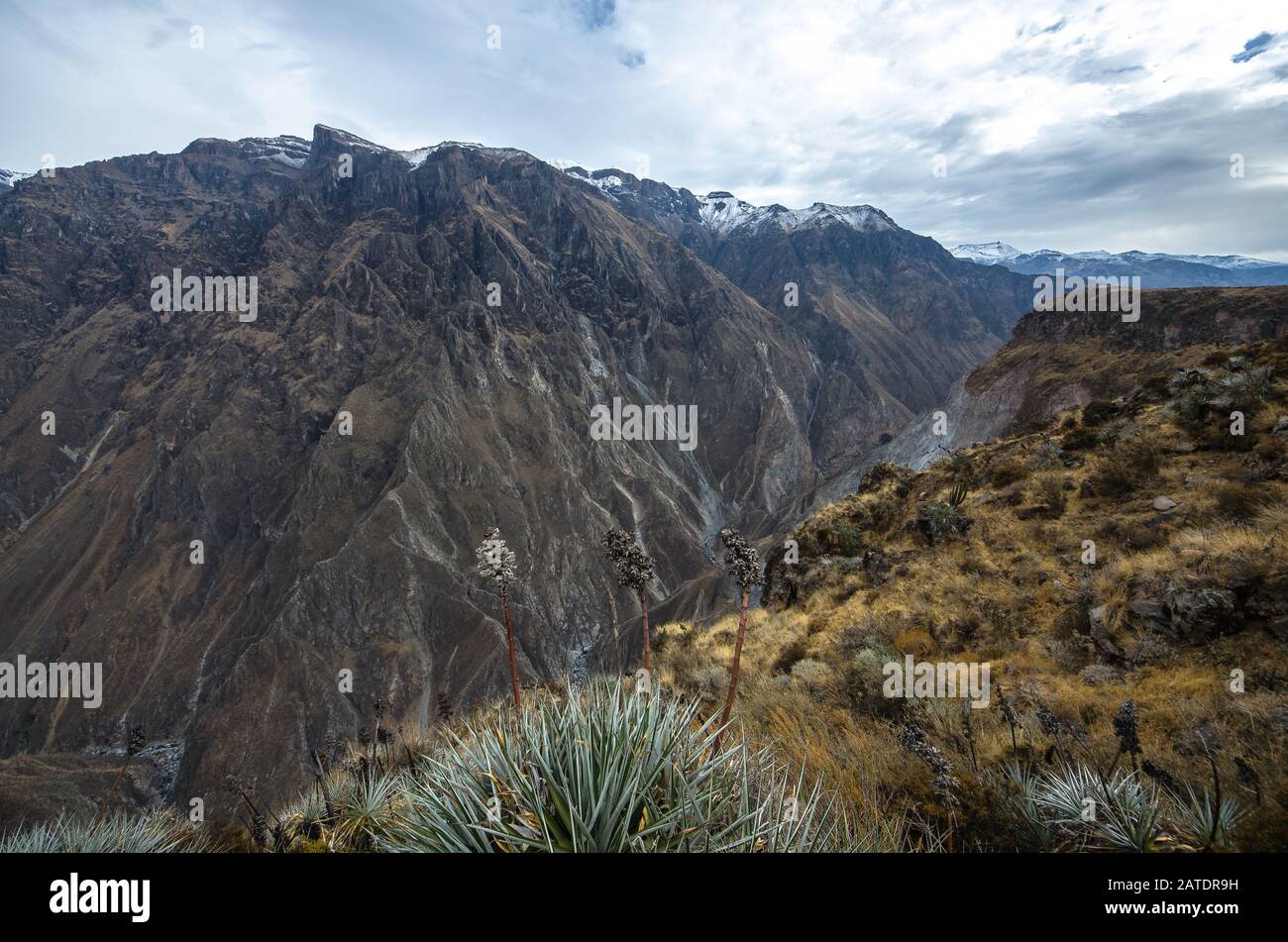 The canyon Colca is the deepest in the world. Colca Peru landscape ...