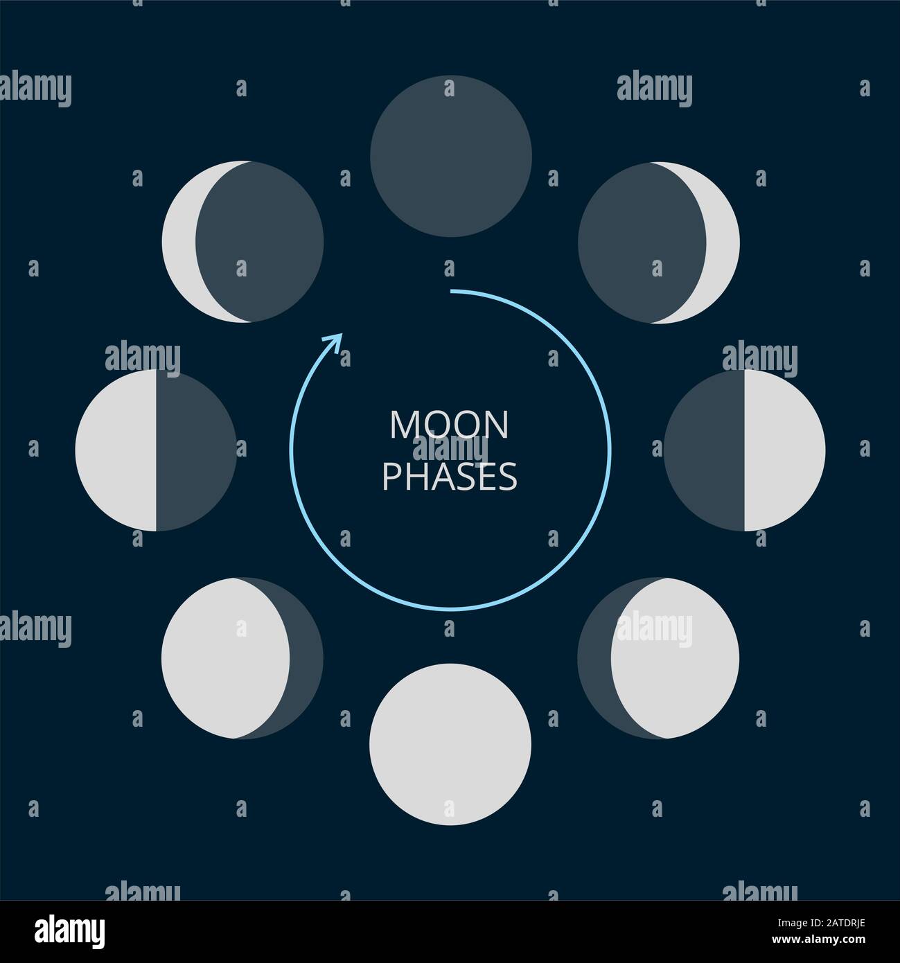 Moon phases icons. Astronomy lunar phases. Whole cycle from new moon to